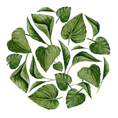 Watercolor green leaves round sticker. Herbal foliage round banner.