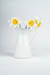 Still life with a blooming bouquet of white daffodils in a white vase on a white background