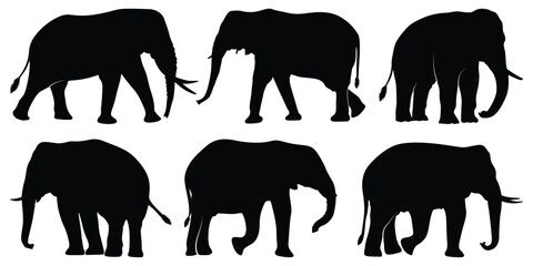 Animal Elephant Silhouettes vector illustration