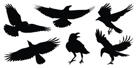 Flying Crow or Raven Silhouettes vector