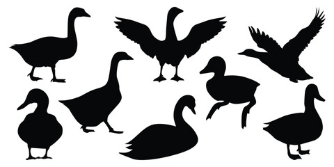 Duck Silhouettes vector illustration - obrazy, fototapety, plakaty