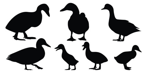 Duck Silhouettes vector illustration