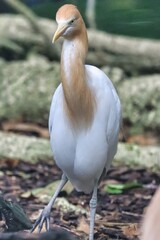 Port Douglas, Queensland, Australia