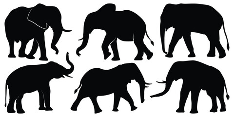Animal Elephant Silhouettes vector illustration