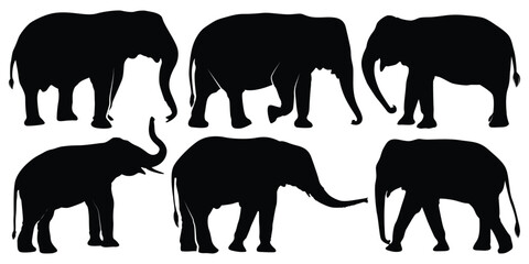 Animal Elephant Silhouettes vector illustration