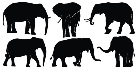 Animal Elephant Silhouettes vector illustration