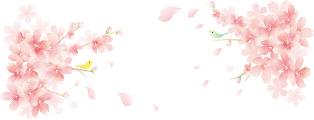 Fototapeta na wymiar 春の花　桜のベクターイラスト spring flowers　background