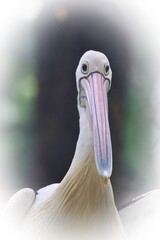 Port Douglas, Queensland, Australia