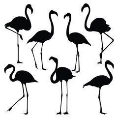 Flamingo Bird Silhouettes vector art