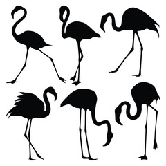 Fototapeta premium Flamingo Bird Silhouettes vector art