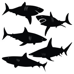 sea animal Shark silhouettes Vector illustration