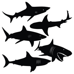 sea animal Shark silhouettes Vector illustration