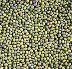 Food ingredients - crop of many dry green lentil grains on flat surface as background top view close up
