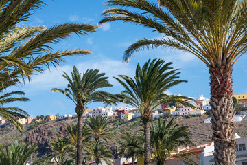Fototapeta na wymiar Palmeras y casas en San Sebastián de La Gomera, Islas Canarias