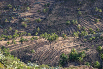 Paisaje con antiguas terrazas de cultivo en los montes de La Gomera, islas Canarias