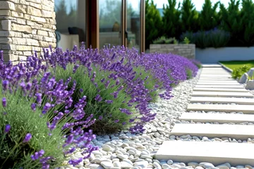 Fotobehang Lavender in Landscape Design  Aromatic French Provence in the Garden © darshika