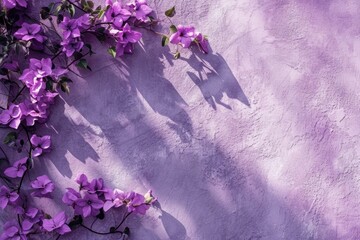 Abstract nature background with flower shadows on purple wall.