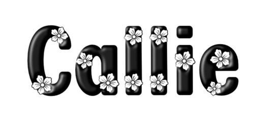Callie - black color - written with engraved typical Hawaiian hibiscus flowers- ideal for websites, e-mail, sublimation greetings, banners, cards, t-shirt, sweatshirt, prints, cricut,
 - obrazy, fototapety, plakaty