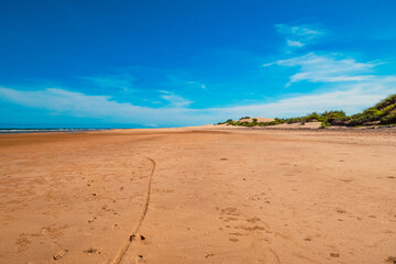 Scenic view of Mambrui sand dunes in Mambrui beach in Malindi, Kenya