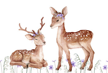 Watercolor set of deer and first spring flowers. Flowers violet coppice and lily of the violet valley green branches. Spotted deer isolated on white background. Hand painted illustration wild animal.