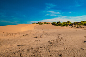 Scenic view of Mambrui sand dunes in Mambrui beach in Malindi, Kenya
