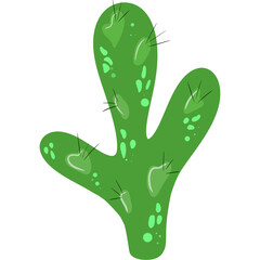 Cute green cactus, succulent, peyote illustration 