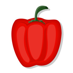 Vegetable red bell pepper cartoon illustration