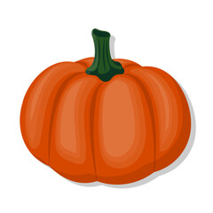 Vegetable organic pumpkin cartoon illustration