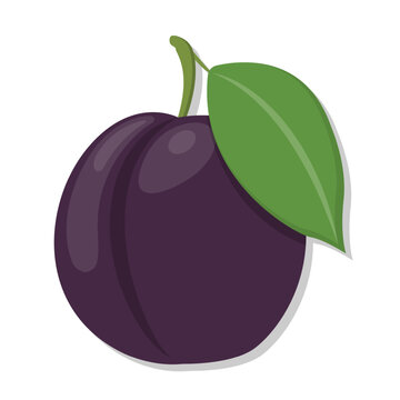 Plum – mận