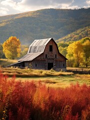 Rustic Barns in Fall Foliage: Golden Valley Landscape