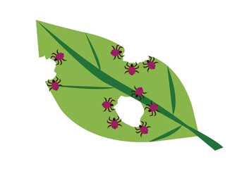 Pests destroys a healthy leaf. Editable Clip Art.