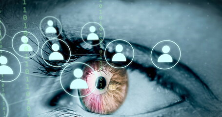 Image of human eye, connections and data processing