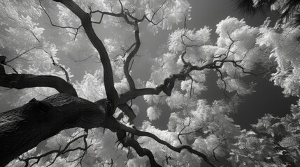 Infrared tree branches. Generative AI