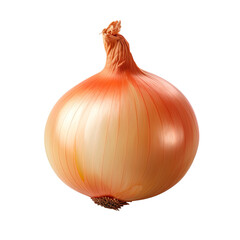 Onion on transparent background