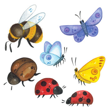 Watercolor illustration, hand drawn. Isolated object, set of insects, butterflies, beetle, bumblebee, ladybugs