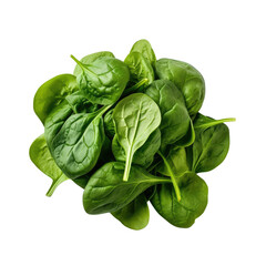 Spinach on transparent background