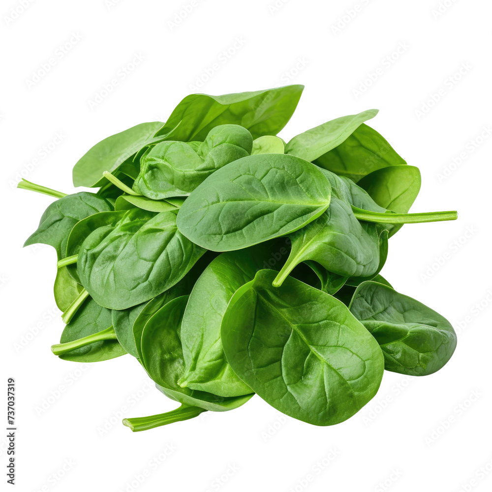 Wall mural Spinach on transparent background