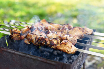 Fragrant kebab is cooked on the grill