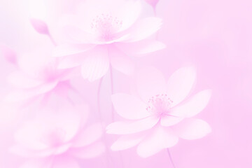 Fototapeta na wymiar Very Delicate light blurred abstract floral background in pink tones. The background