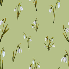 Fototapeta premium Delicate, elegant, spring seamless pattern with snowdrops, patterns design, fabric, wedding, letter, illustration 