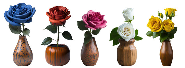 Set of various colourful blooming roses in wooden vase isolated on transparent background. Generative AI