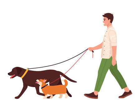 vector illustration of a boy walking dogs big and small in flat style. Walking the dogs