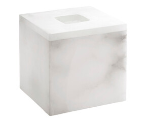 Fototapeta premium Image of Classic Tissue Box