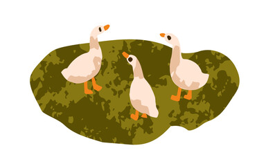 Cute baby goose. Funny little geese group walking. Adorable goslings on grass. Countryside birds, poultry, feathered farm animals. Flat vector illustration isolated on white background