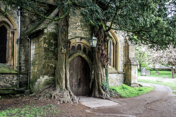 Ancient Roots Embrace St Edward’s Church Entrance, Stow-on-the-Wold