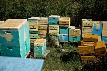 Old beehives in the backyard of a house