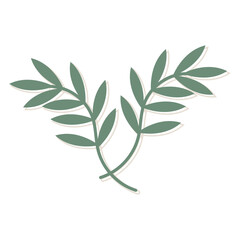 Thin twigs of plants with shadow for quote. Green curly leaves decoration. Abstract leaves and twigs. Hand drawn isolated vector art illustration