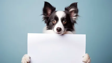 Fotobehang cute dog holding blank white paper, funny pet portrait mock up idea,  Generative Ai © QuietWord