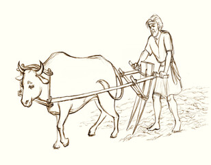 Pencil drawing. Vintage wooden plow