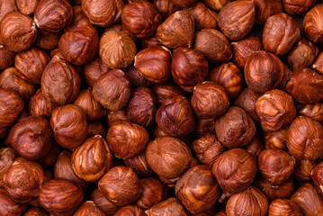 Delicious hazelnut whole, raw, without shell, on a dark concrete background